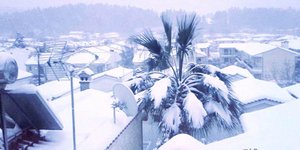 ΦΩΤΟΓΡΑΦΙΑ: halkidikinews.gr