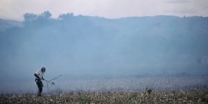 Φωτογραφία: Eurokinissi/ Μεσσηνία: Βρέθηκε ανθρώπινο κρανίο σε χωράφι
