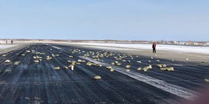 Φωτογραφία: RT