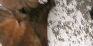 Στα Θεοφάνια τον σταυρό στη Μύκονο τον έπιασε ένα χταπόδι [βίντεο]