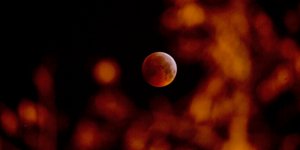 Υπερπανσέληνος και έκλειψη σελήνης στο Βέλγιο (Φωτογραφία: AP)