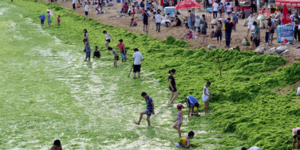 Η πιο αηδιαστική παραλία του κόσμου βρίσκεται στην Κίνα [εικόνες]