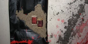 Έργο της Έλενας Τονικίδη 
