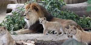 Φωτογραφία αρχείου: ΑΡ