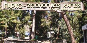 Θεσσαλονίκη: Άσχημες οι συνθήκες διαβίωσης των ζώων του Ζωολογικού Κήπου