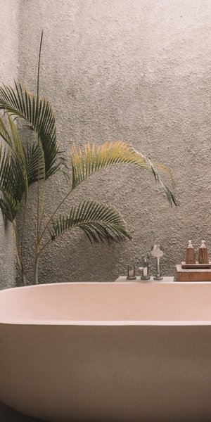 Μπανιέρα και φυτό σε μπάνιο