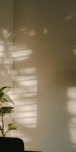 Φωτογραφία Unsplash