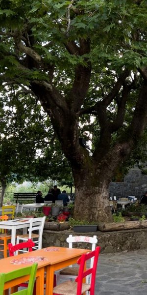 Γραμμένη Οξυά: Το χωριό της ορεινής Ναυπακτίας με το ποιητικό όνομα