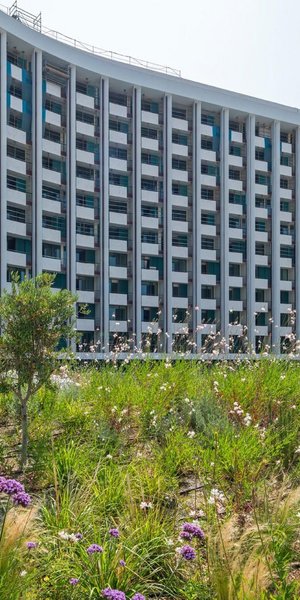 The Ilisian: Το εντυπωσιακό πράσινο rooftop που αλλάζει το πρόσωπο της Αθήνας