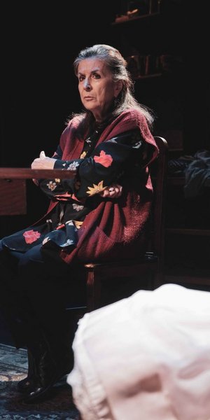 Η πόλη μιλά μόνο γι’ αυτές: Οι 8 sold out θεατρικές παραστάσεις της χρονιάς