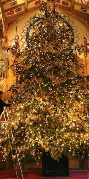 Το χριστουγεννιάτικο δέντρο στο Κάστρο του Ουίνδσορ/Φωτογραφία: Profimedia