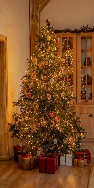 Χριστουγεννιάτικο δέντρο