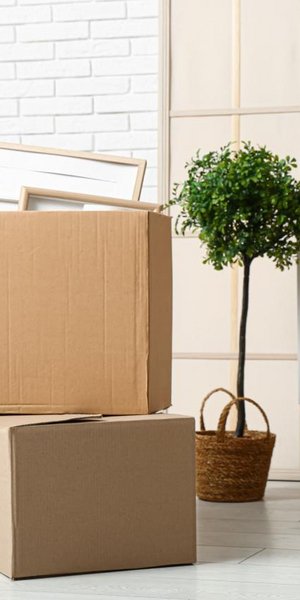 Κουτιά στο σπίτι