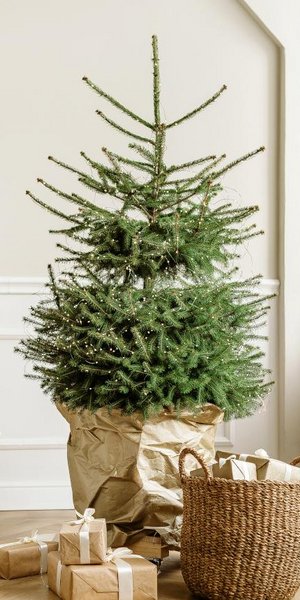 Το χρώμα-statement που θα απογειώσει τη χριστουγεννιάτικη αισθητική σας φέτος