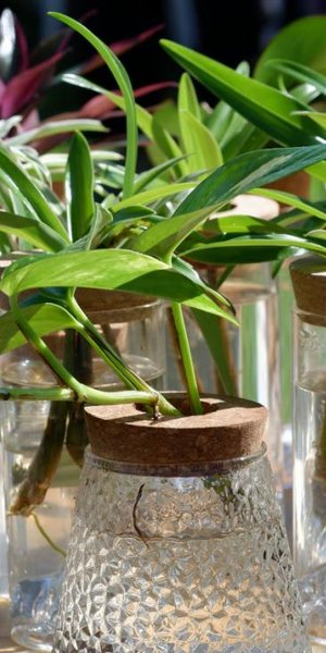 Φωτογραφία: Shutterstock