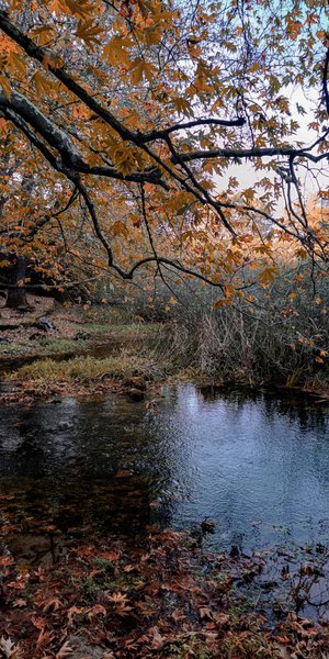 Φωτογραφία από το χωριό