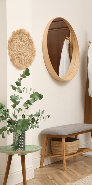 Φυτό σε είσοδο σπιτιού