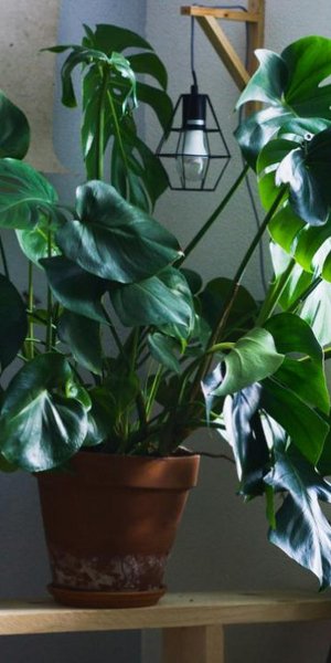 Φωτογραφία: Unsplash