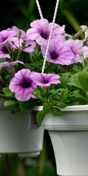 Φωτογραφία: Shutterstock