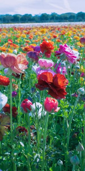 Φωτογραφία: Unsplash