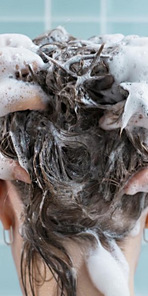 Φωτογραφία: Shutterstock