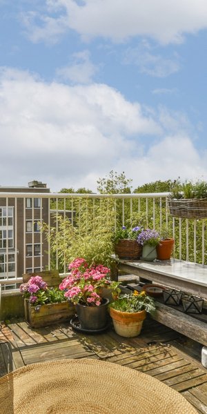 Τέλος οι κλασικές γλάστρες στα μπαλκόνια: Η νέα τάση που θα δούμε παντού το φετινό καλοκαίρι