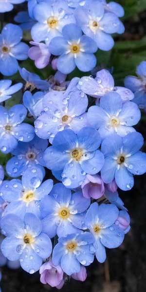 Φωτογραφία: Shutterstock