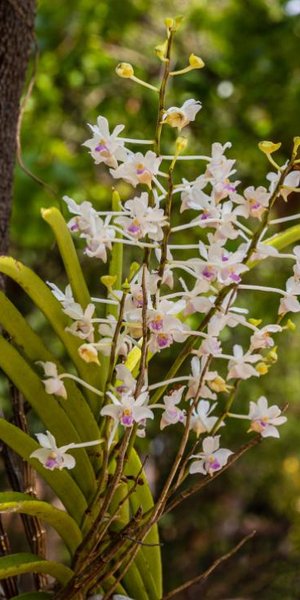 Φωτογραφία: Shutterstock