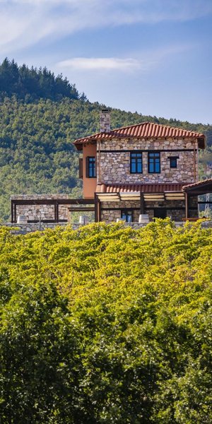 Φωλιασμένο στους λόφους ανάμεσα στη Θεσσαλονίκη και το ιστορικό Άγιο Όρος, βρίσκεται ο Άκραθως, ένα boutique οινοποιείο